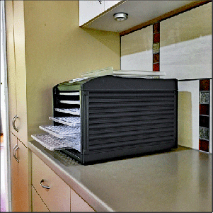 Six-tray food dehydrator, oblique side view.