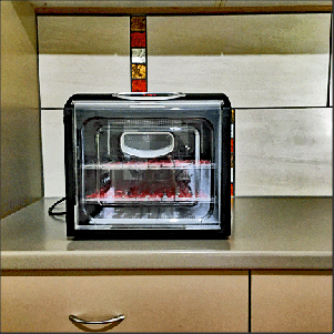 Trays of raw meat in food dehydrator; space the trays far apart for optimal air flow.