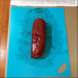 Raw whole beef kidney, ready to be sliced for drying.