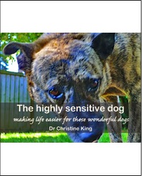 The Highly Sensitive Dog e-book cover